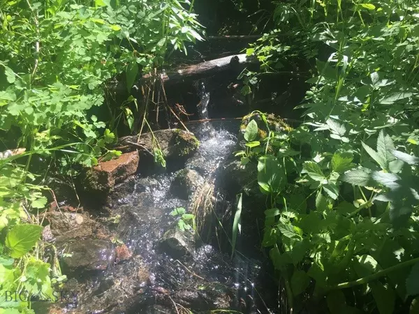 Wolf  Creek, MT 59648,TBD Bear Track RD