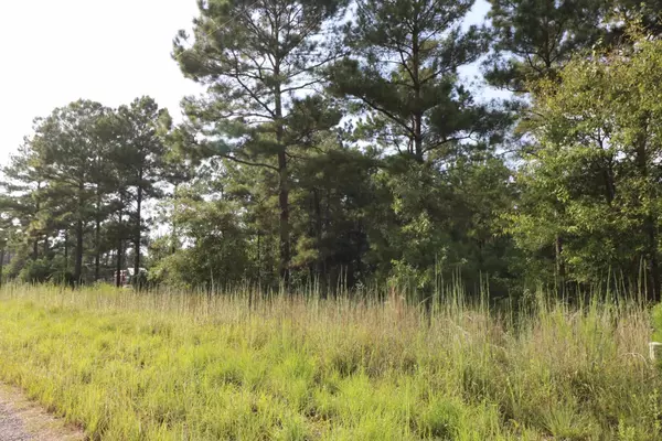 Brookeland, TX 75931,2314 Co Rd 222