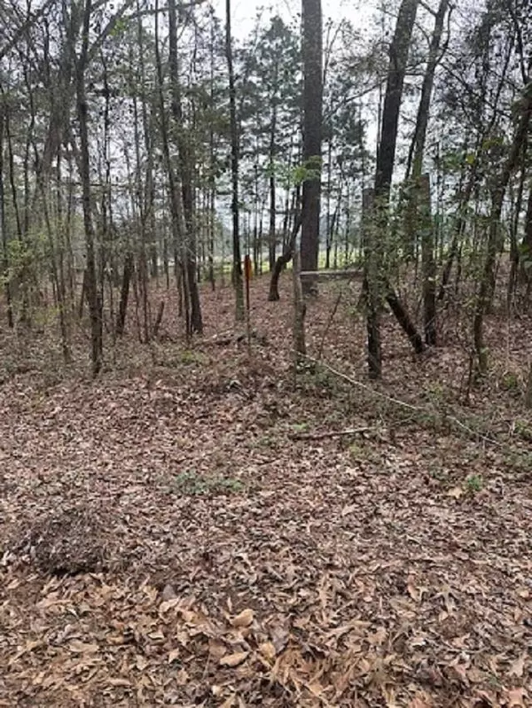 Hemphill, TX 75948,1289 Camp Spring Road