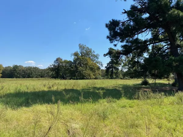 Centerville, TX 75833,239 Pr 1312