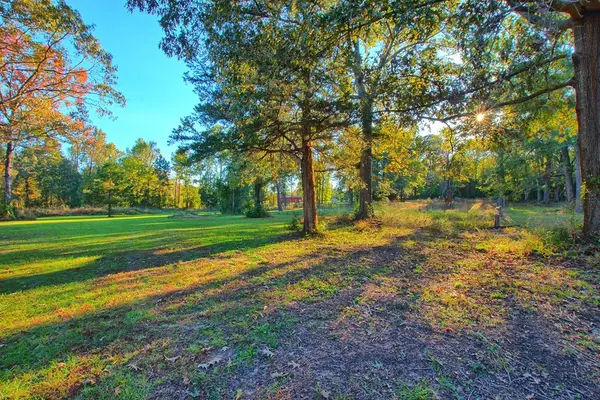 Hemphill, TX 75948,2595 Sabine Town Road