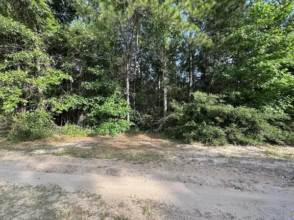 Brookeland, TX 75931,95 Red Wolf Lane