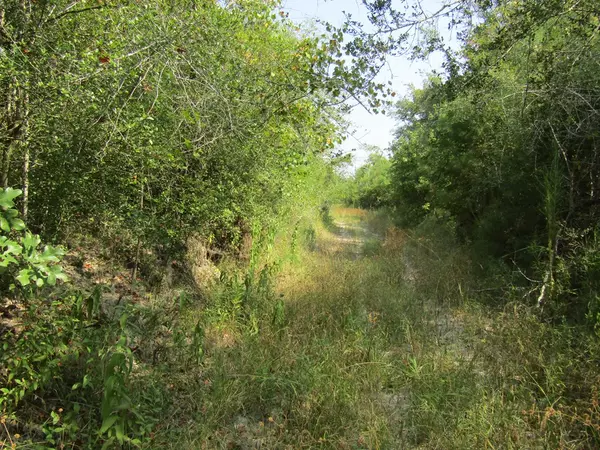 Huntington, TX 75949,00 Fm 2109