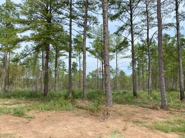 Huntington, TX 75949,24633 Lot 15 Fm 844