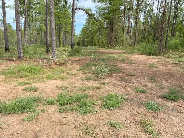 Huntington, TX 75949,24633 Lot 15 Fm 844