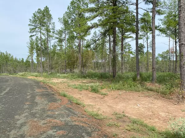 Huntington, TX 75949,24633 Lot 23 Fm 844