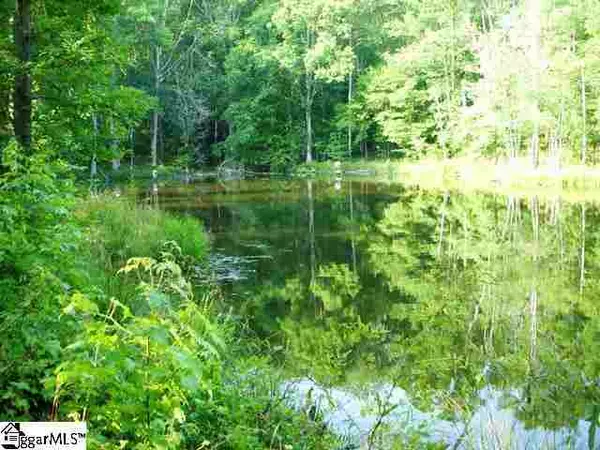 Fountain Inn, SC 29644,00 Terry Road