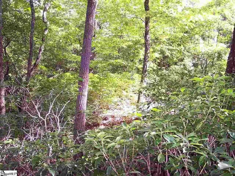 Lot 4 Woods Pond Court, Cleveland, SC 29635