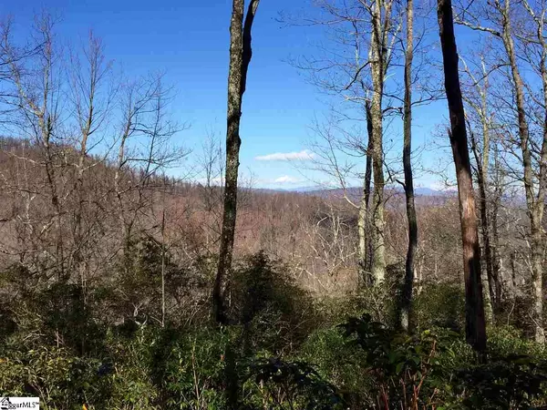 Zirconia, NC 28790,Lot 18 Panther Mountain Road