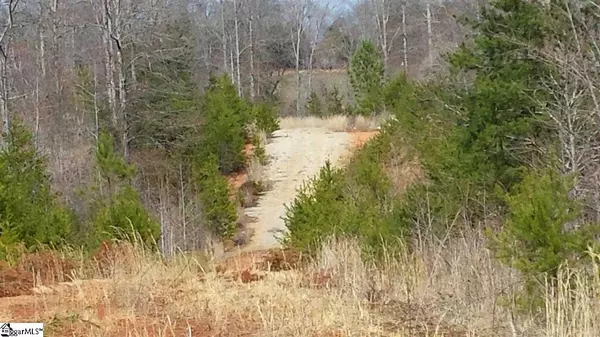 Greer, SC 29651,Pink Dill Mill Road