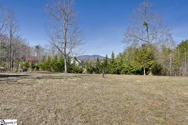 Landrum, SC 29356,25 S Reid Road