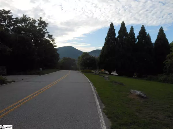Landrum, SC 29356,93 Eagle Rock Road