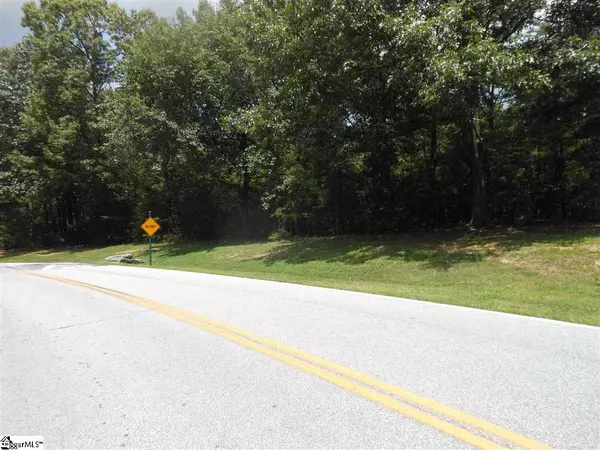 Landrum, SC 29356,Plumley Summit Road