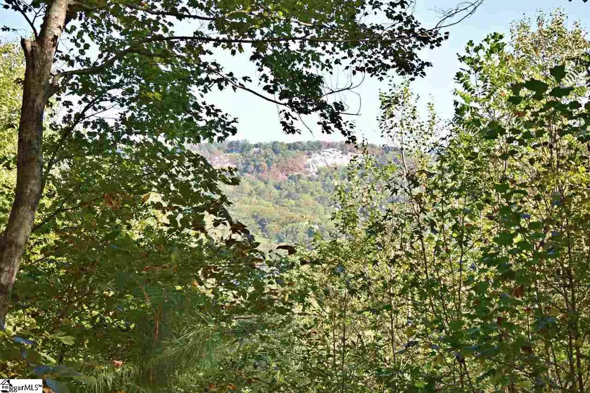 Landrum, SC 29356,120 Pittman Road