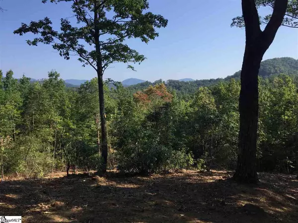 Marietta, SC 29661,30 Cherokee Rose Trail