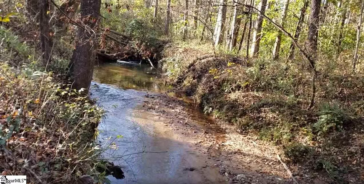 Landrum, SC 29356,0 Belue Mill Road