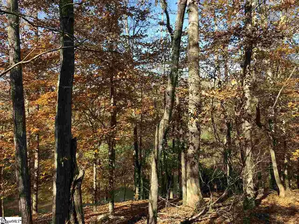 Fountain Inn, SC 29644,00 Dunklin Bridge Road