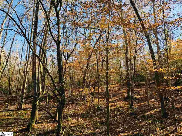 Fountain Inn, SC 29644,00 Dunklin Bridge Road