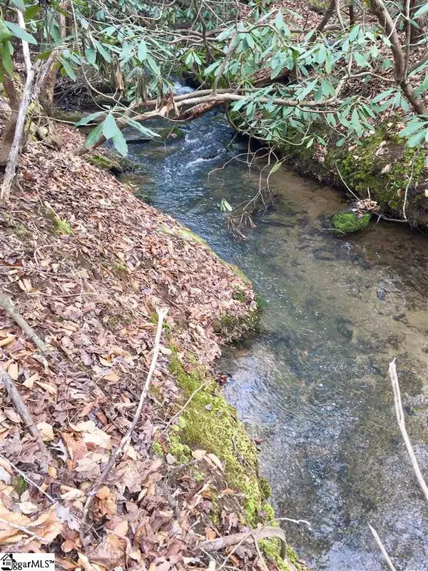 Travelers Rest, SC 29690,23 Laurel Cove Lane