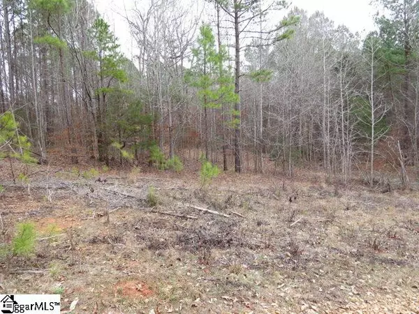 Ware Shoals, SC 29692,0 Free Bridge Road