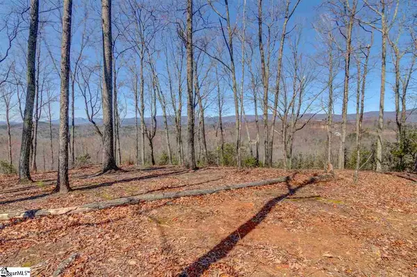 Marietta, SC 29661,146 Cherokee Rose Trail