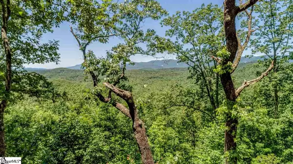 Marietta, SC 29661,146 Cherokee Rose Trail