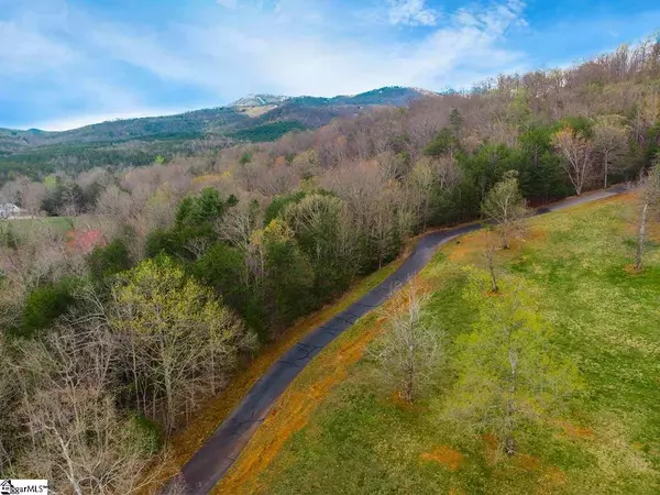 Landrum, SC 29356,10 Knob Hill Lane