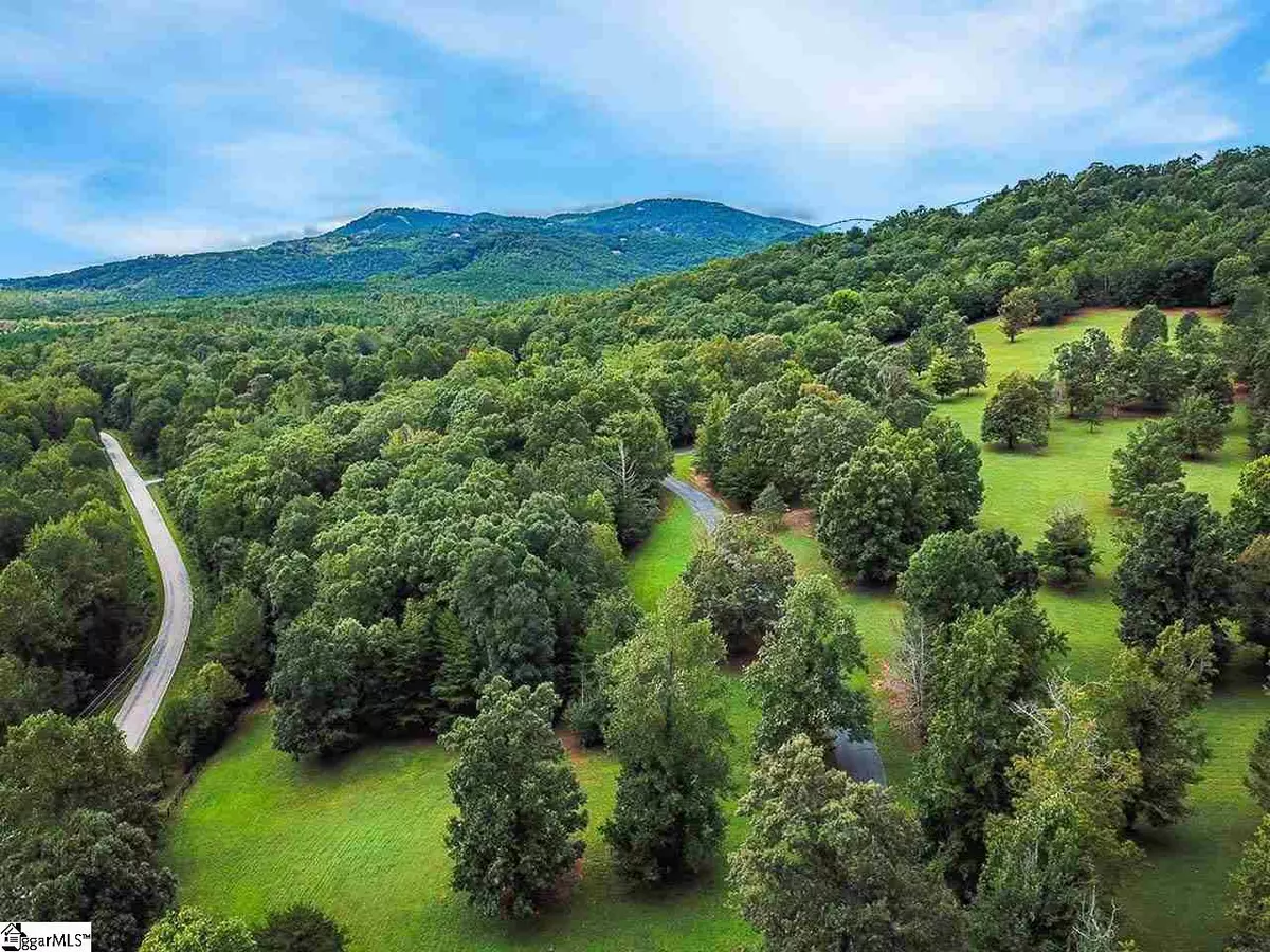 Landrum, SC 29356,10 Knob Hill Lane