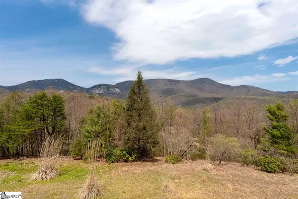 Landrum, SC 29356,81 Eagle Rock Road