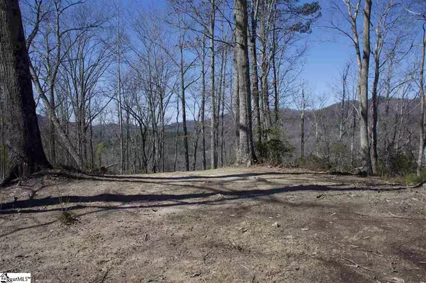 Travelers Rest, SC 29690,220 Links Ledge Road