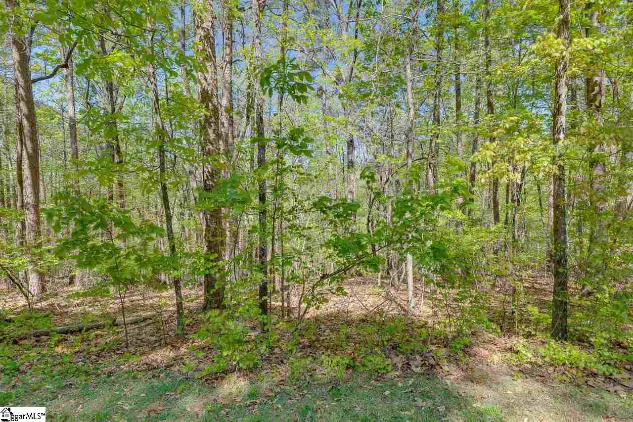 40 Commodore Drive, Salem, SC 29676