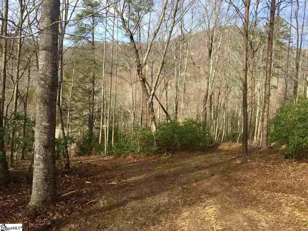 Travelers Rest, SC 29690,9 Buck Creek Trail