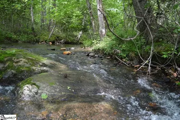 Landrum, SC 29356,Address not disclosed