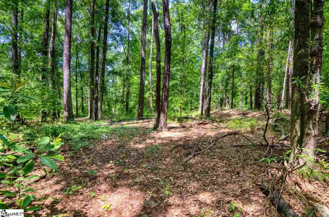 Anderson, SC 29626,00 Kingsboro Road