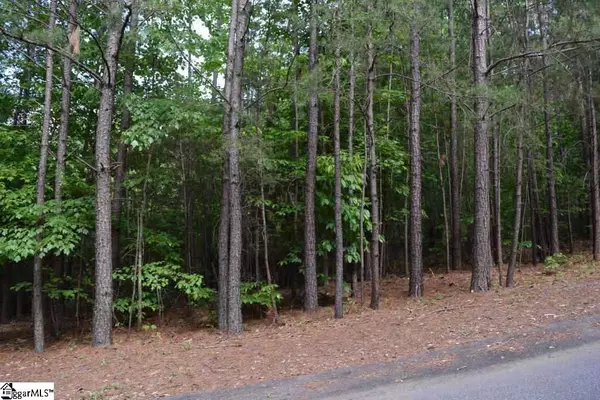 207 Long View Lane, Pickens, SC 29671