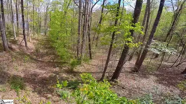 Seneca, SC 29672,7 Laurel Pointe