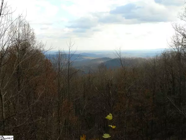 Marietta, SC 29661,90 Bear Cove Trail