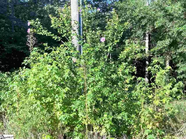 Piedmont, SC 29673,115 Grace Lane
