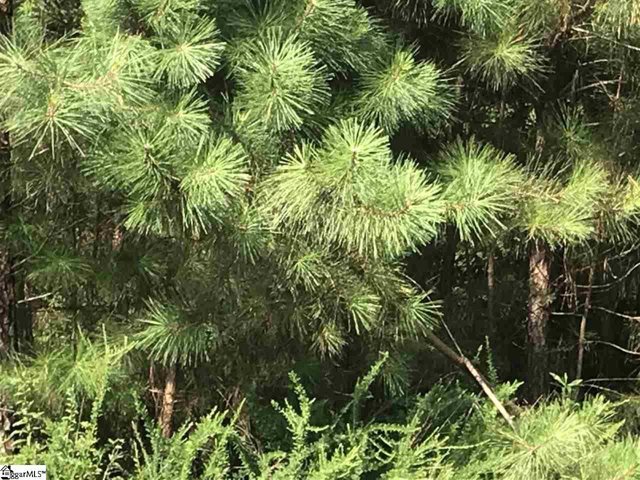 Travelers Rest, SC 29690,303 Wedge Way