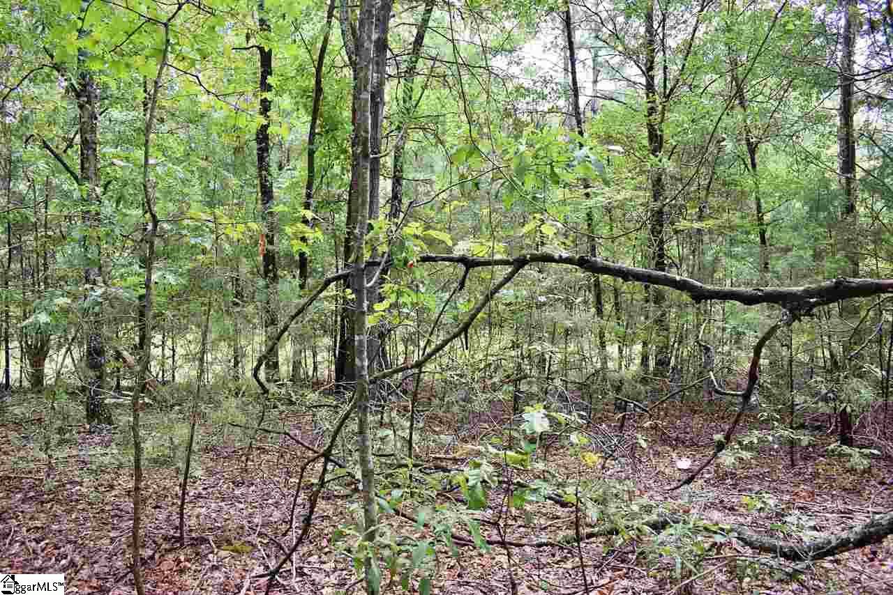 1390 Watson Road, Enoree, SC 29335