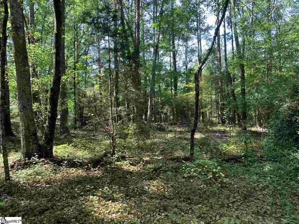 Starr, SC 29684,00 First Avenue