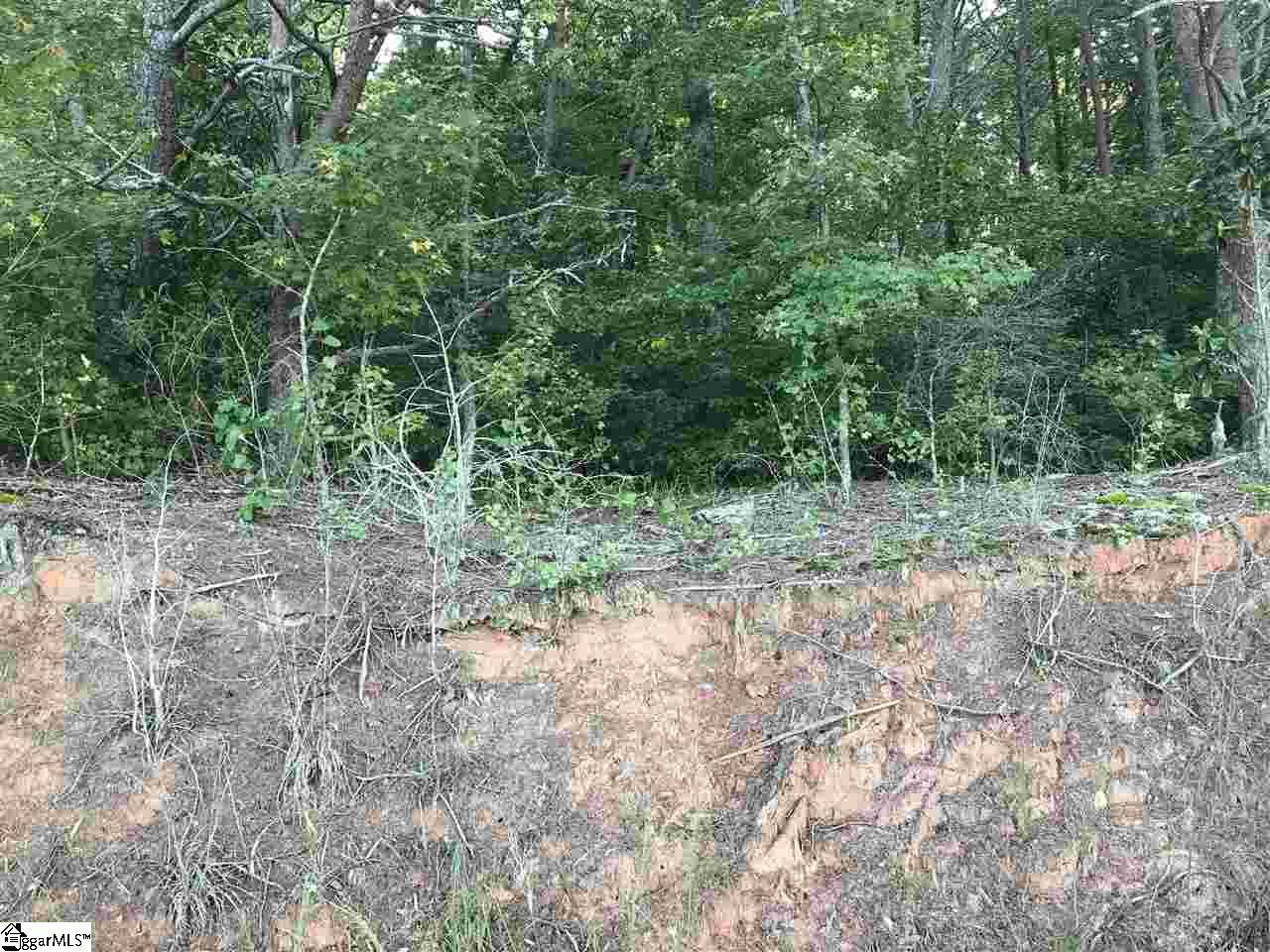 0 Jackson Street, Liberty, SC 29657-0000