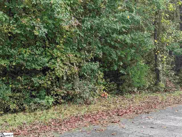 53 King Street, Anderson, SC 29624