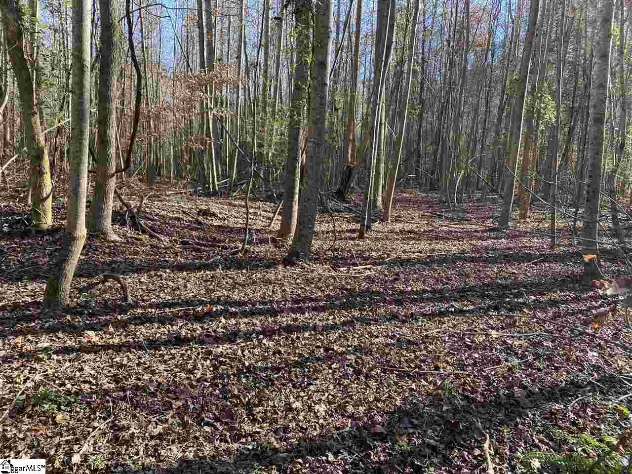 Woodruff, SC 29388,345 Casey Row Drive