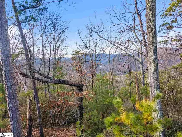 Travelers Rest, SC 29690,10 Deer Valley Court