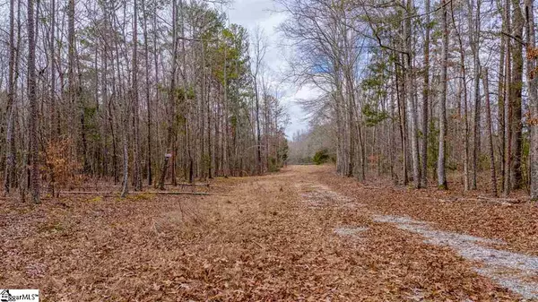 00 Nash Mill Road, Fountain Inn, SC 29644-0000