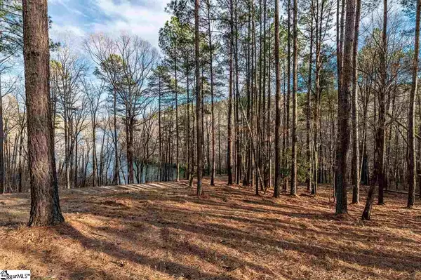 Salem, SC 29676,324 Long Cove Trail