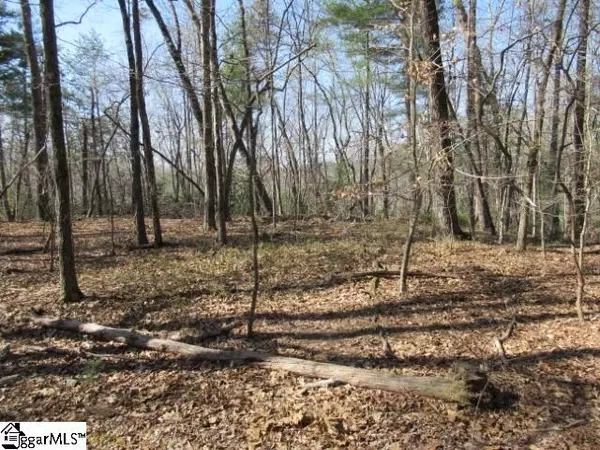 00 Pine Grove Church Road, Sunset, SC 29685