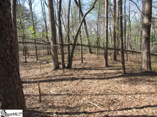 00 Pine Grove Church Road, Sunset, SC 29685