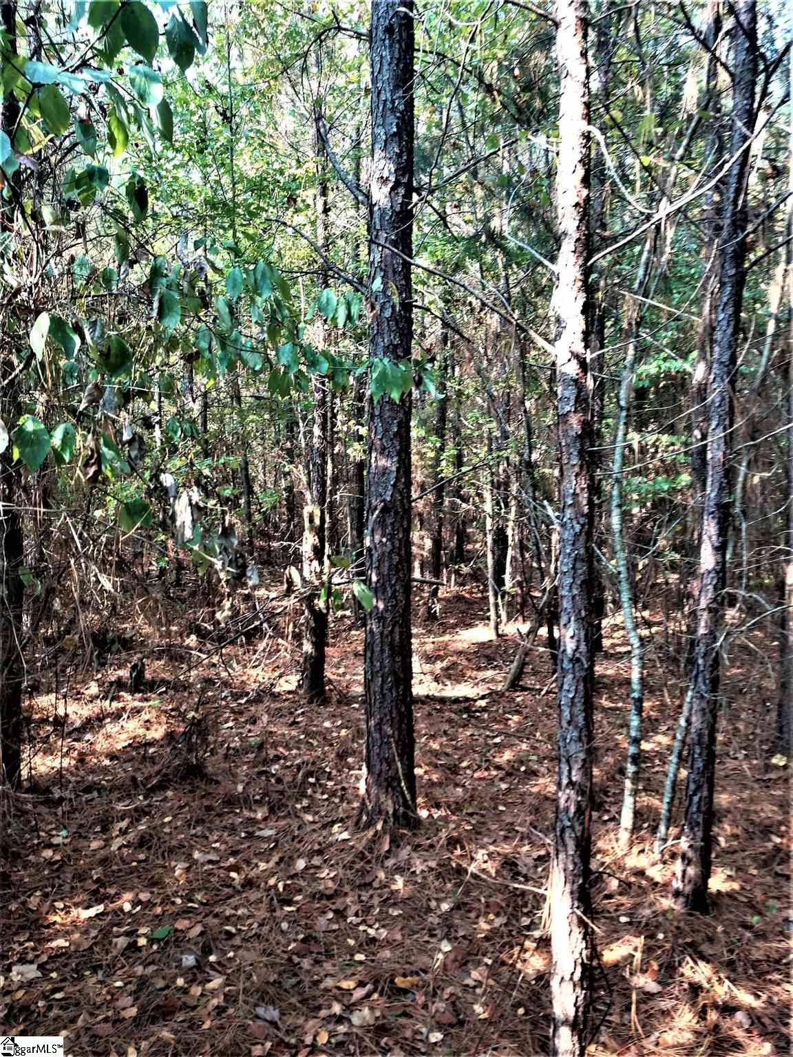 Honea Path, SC 29654,154 Flatrock Road